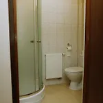 Motel Noclegi Kochlice