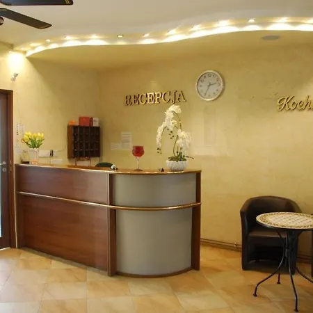 Motel Noclegi Kochlice Kochlice